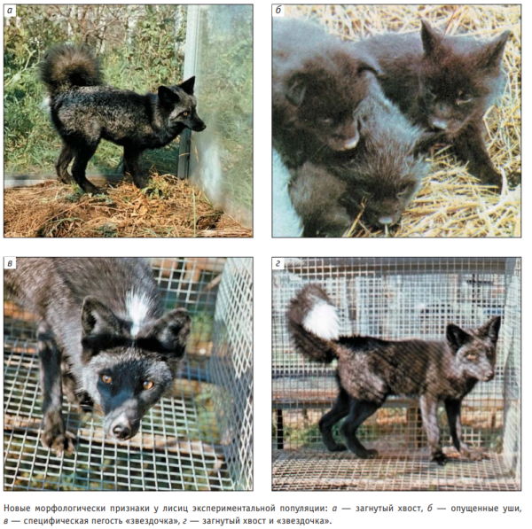 c378ab05fdb0a68b967f609dd1b991b5