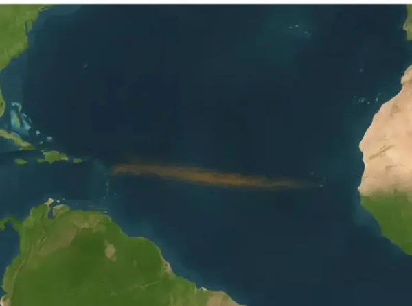 Гигантская полоса бурых водорослей пересекла Атлантику и видна из космоса Гигантская полоса бурых водорослей пересекла Атлантику и видна из космоса