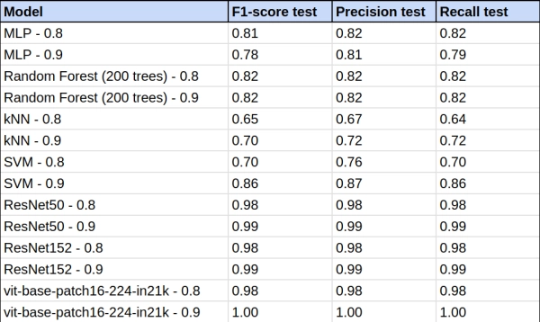 Визуальная классификация пыльцы с использованием сверточных нейронных сетей и Vision Transformers 21 c6def55a4e358298a84e5962b18c7030