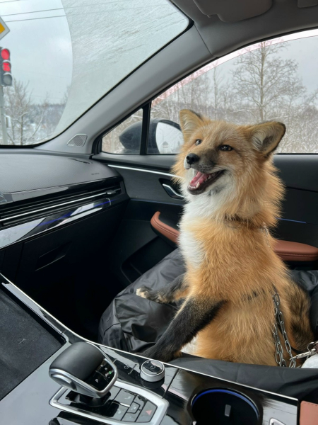 ca4ca924ecac3d65a486f56aade1ed1f