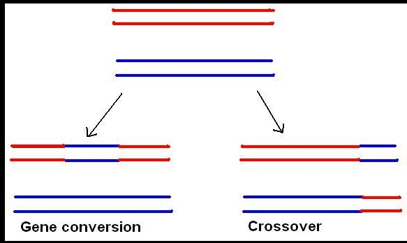 cc17278c610446cd0da7a2eb0b4beff0