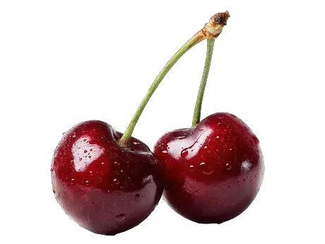 cca005fcc0871d8e69c3897f80f960e2