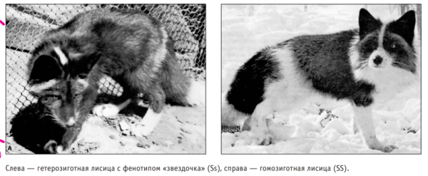 cde1df5b13194036406ddf60d0d33e22