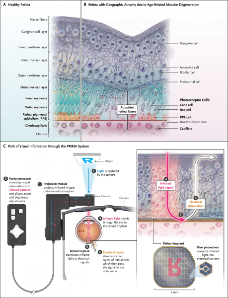 cf7919e049a78119260b4f08407bd801