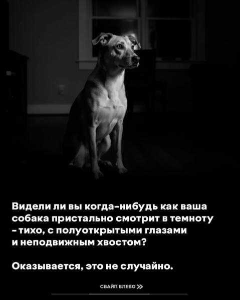 d03d7243fe543b22a9f34dce714e1b16