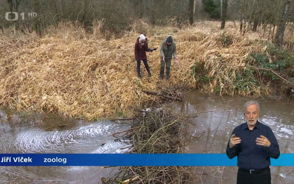 В общем, бобры vs бюрократы – счет 1:0!