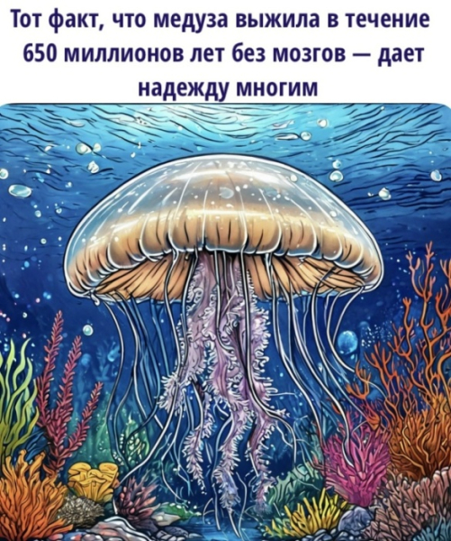 Похоже, найден механизм, который 740 миллионов лет назад&hellip;