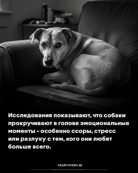 d2fa75ee111204de7ab76b3762c1537d