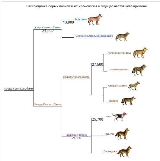 d382bb3f7fe4b4f762f834fd0a9c8ead