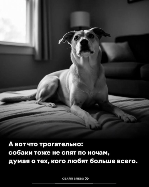 d46a2681f37e8d1e49d7687e7f698879