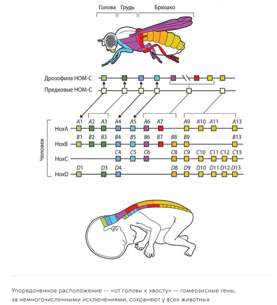 da802dfdc7bf9483a8e4289e1e3c8c15