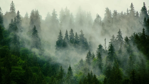 Проблема с любимой технологией Big&hellip;