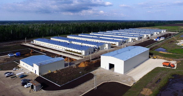 Средняя птицефабрика Средняя птицефабрика