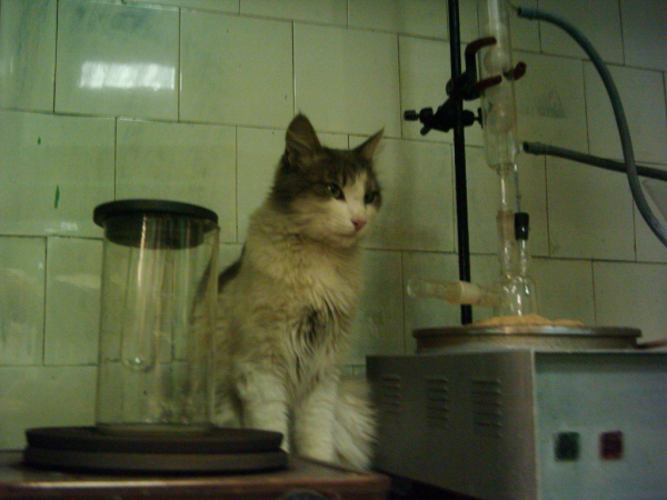 О горьком опыте масштабирования производств, о важности ведер и о причинах седины 2 e1a932842d82cc2e59b2062d39525786