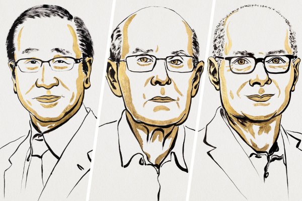 Бездонная сумка Гермионы. За что дали&hellip;