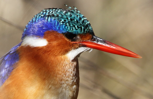 Derek Keats Derek Keats