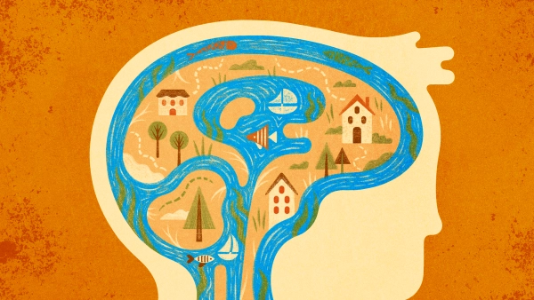 Таинственный поток жидкости в мозге 3 e6343b7acb356d32a9361899a0b62283.webp