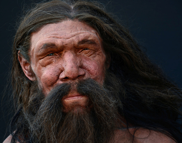 Загадка человека из Альтамуры 3 e7bcdddc7b90a6ef984f0e159d758b01