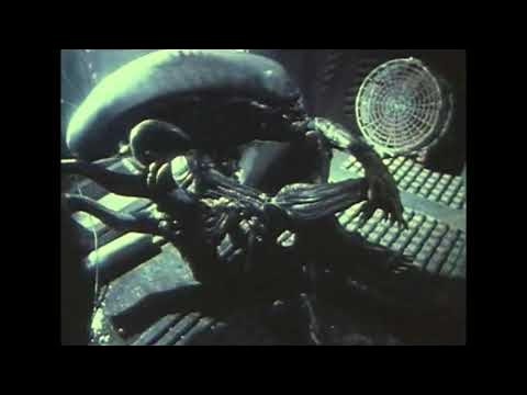 07. КСЕНОМОРФ