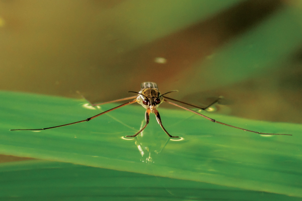 Не отходя от кассы: создание&hellip;