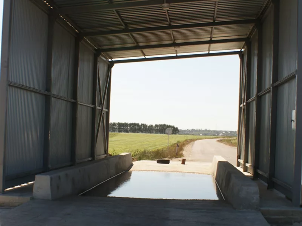 Лужа - дезбарьер Лужа - дезбарьер