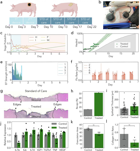 ec821a006657780599c7537e1d16ecc0