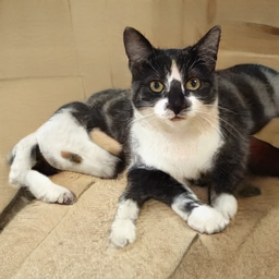 2019 год однако