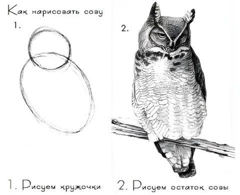 Всё просто Всё просто