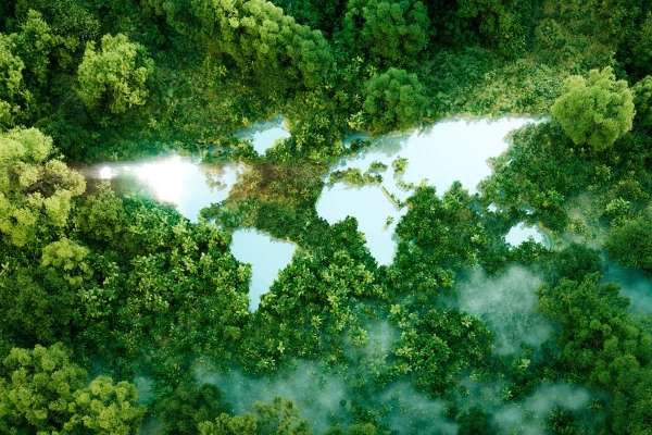 Мы наконец-то можем узнать, почему птицы поют на рассвете 2 New Scientist. Новости науки и длинные статьи от опытных журналистов, освещающие события в области науки, технологий, здравоохранения и окружающей среды на веб-сайте и в журнале.