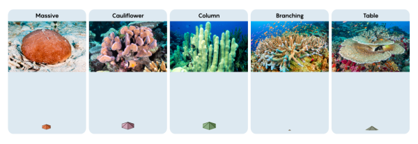 f3caae4a2aaeaf7f1bc9d2bc6ad0ff3f