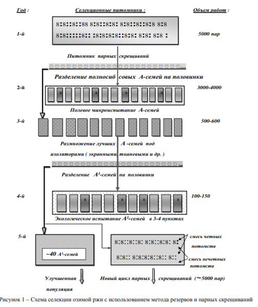 Вавилов — научная позиция. Лысенко — научная позиция 3 f4b4f6423f3d99890076d41c0a155133