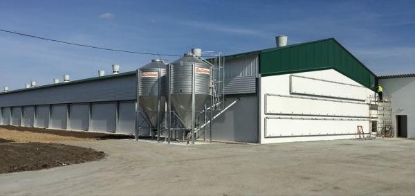 Цех с кормовыми бункерами Цех с кормовыми бункерами