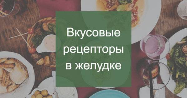 Ваш желудок умеет пробовать еду.&hellip;