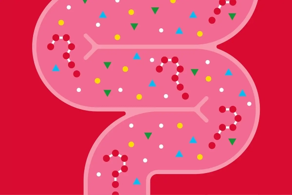 Голые землекопы: следуя их примеру, человек может продлить свою жизнь 3 Как постбиотики могут улучшить ваше здоровье и даже помочь обратить вспять старение