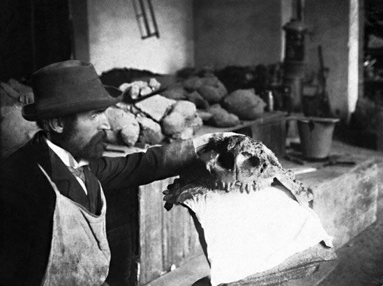 Препраторская палеонтологическая мастерская в Варшаве