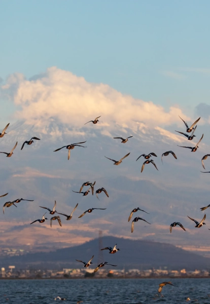 Озеро Набор Каррильо расположено на территории нового парка.