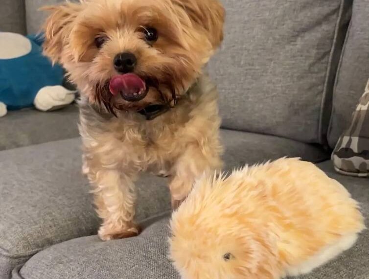 Полюбить робота Автор TechCrunch шутит,&hellip;