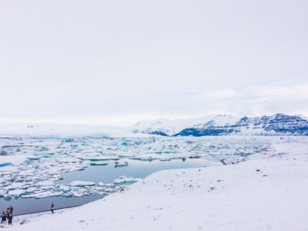 Найденная в Антарктиде исполинская загадочная&hellip;