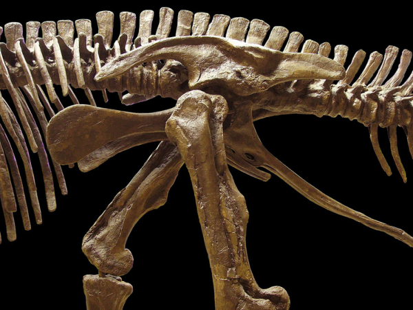 Один из самых важных этапов&hellip;