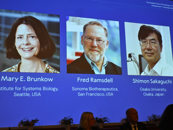 Ревматолог объяснил значимость открытия нобелиатов: иммунитет от чрезмерной «самозащиты»