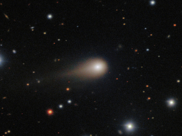 Таинственный маневр межзвездного объекта в направлении Солнца озадачил ученых 1 tainstvennyj-manevr-mezhzvezdnogo-obekta-v-napravlenii-solnca-ozadachil-uchenyh-1079e80.jpg