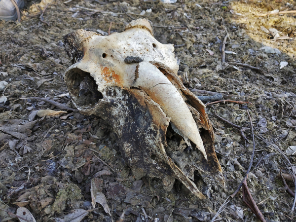 Ученые рассказали, когда Земля станет безжизненной 3 uchenye-rasskazali-kogda-zemlja-stanet-bezzhiznennoj-f55ed7c.jpg