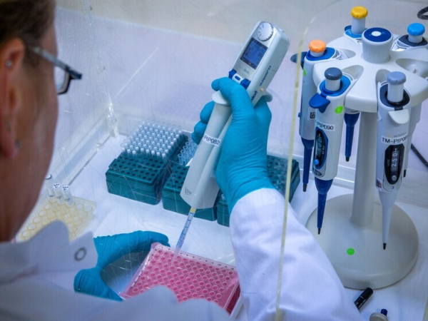 Ученые выяснили как ДНК родителей влияет на старение детей 1 uchenye-vyjasnili-kak-dnk-roditelej-vlijaet-na-starenie-detej-92c7506.jpg