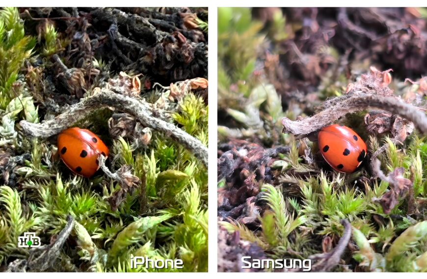 Удачный кадр: честный фототест для&hellip;