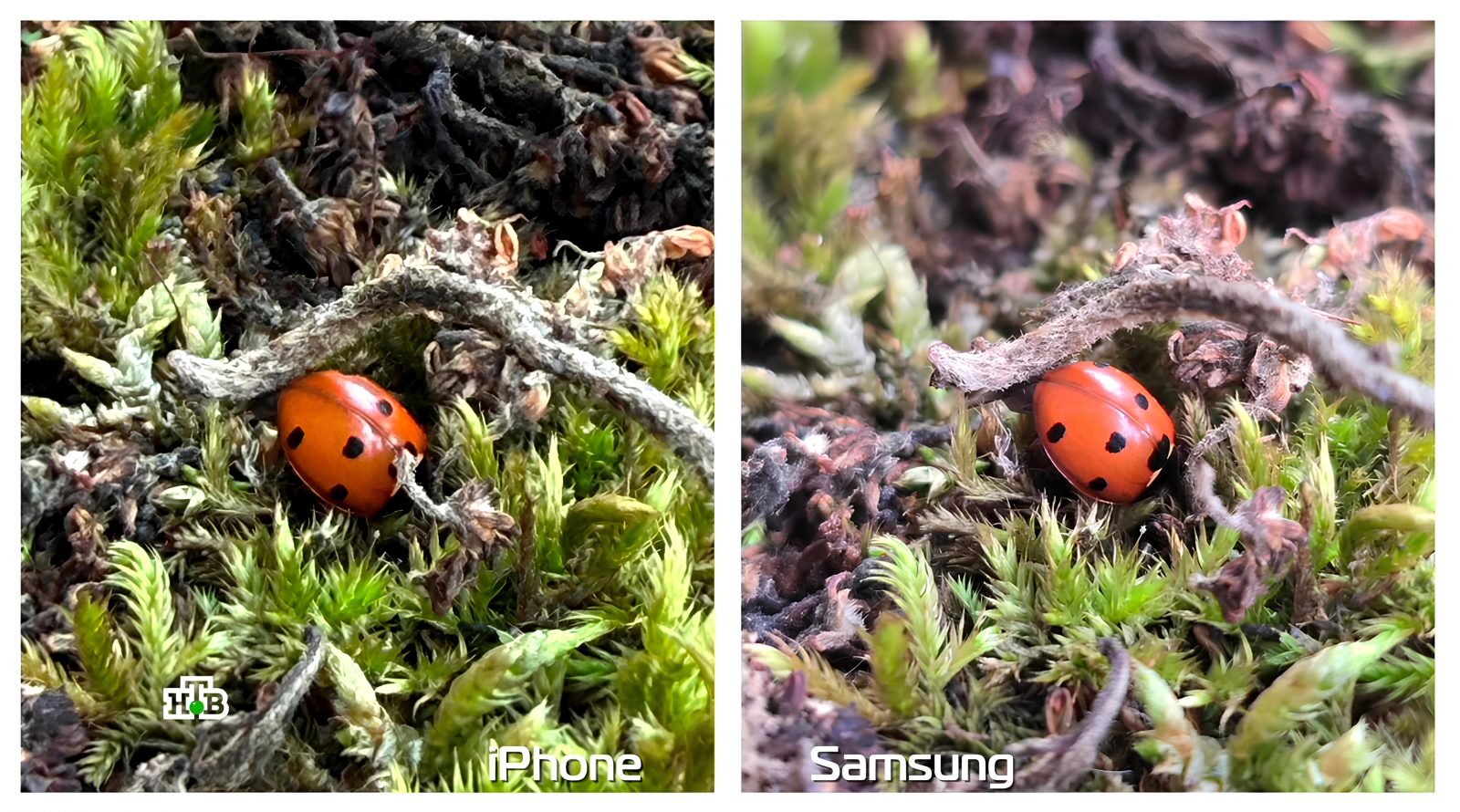 Удачный кадр: честный фототест для камер смартфонов 2 udachnyj-kadr-chestnyj-fototest-dlja-kamer-smartfonov-6610475.jpg