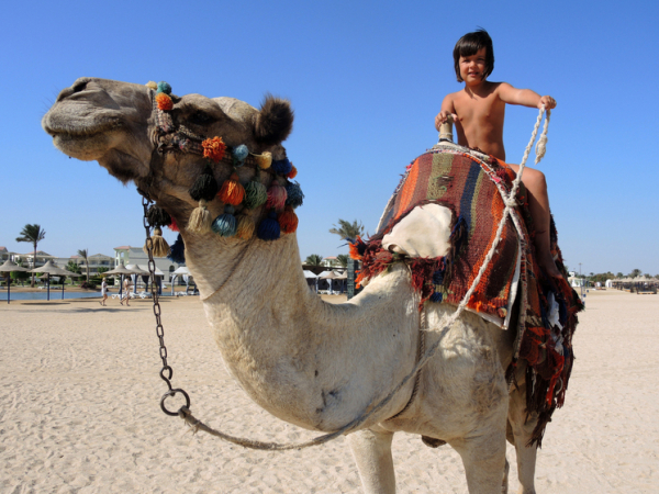 В Египте нашли изготовленный тысячи лет назад свисток из бычьей кости