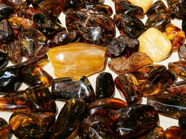 В куске янтаря нашли древнейшую личинку комара 2 v-kuske-jantarja-nashli-drevnejshuju-lichinku-komara-82a3b43.jpg