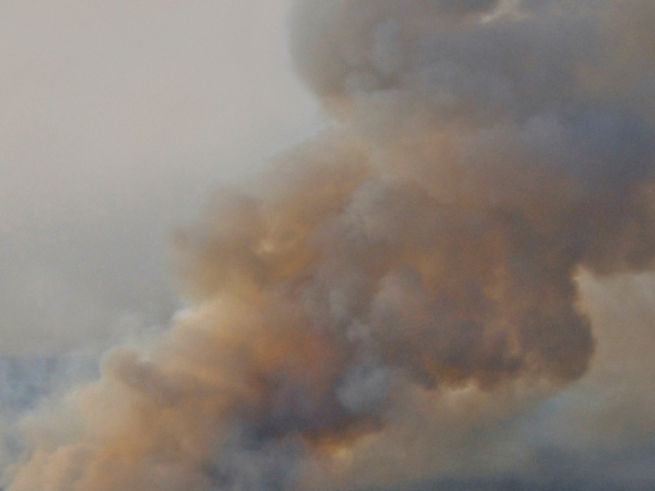 Загрязнение воздуха связали с необычной&hellip;