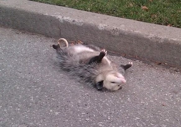 Неконтролируемый инсульт жопы 4 009dcc12440a5e69b5760cb7bcd00467