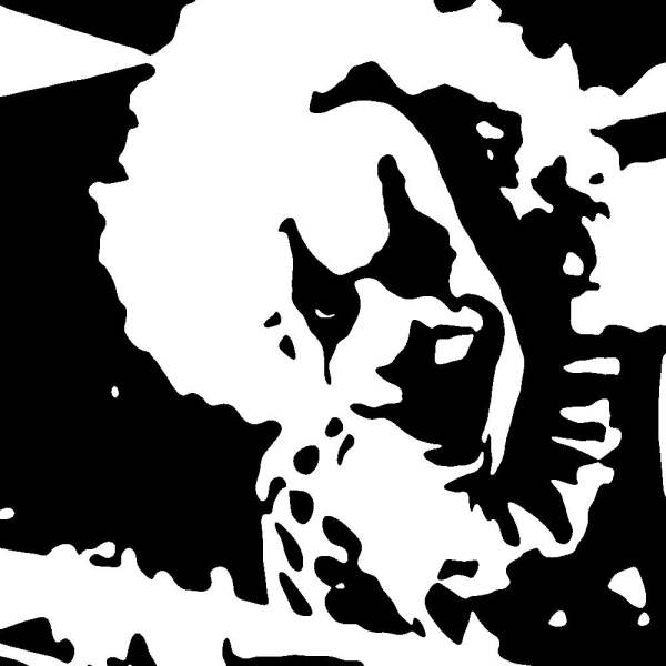 Как ваш мозг создает моменты «ага» и почему они запоминаются 3 Черно-белая собака